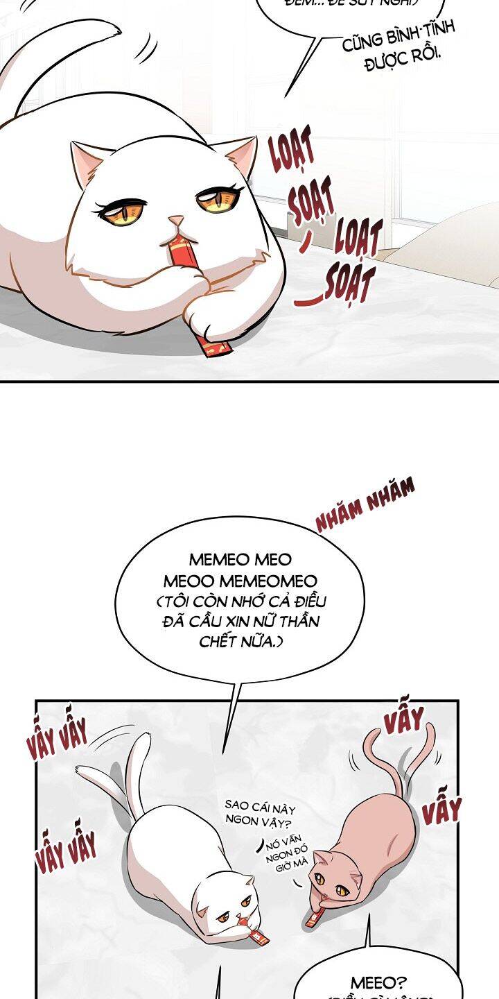 Một Cuộc Sống Kỳ Lạ Chapter 44 - 48