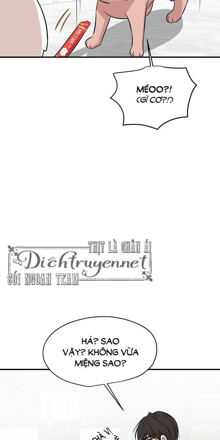 Một Cuộc Sống Kỳ Lạ Chapter 44 - 50