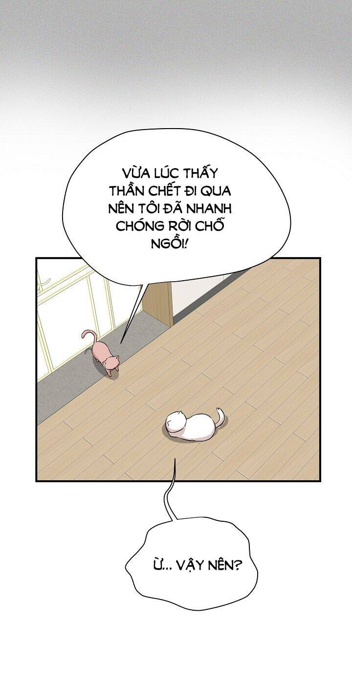 Một Cuộc Sống Kỳ Lạ Chapter 45 - 11