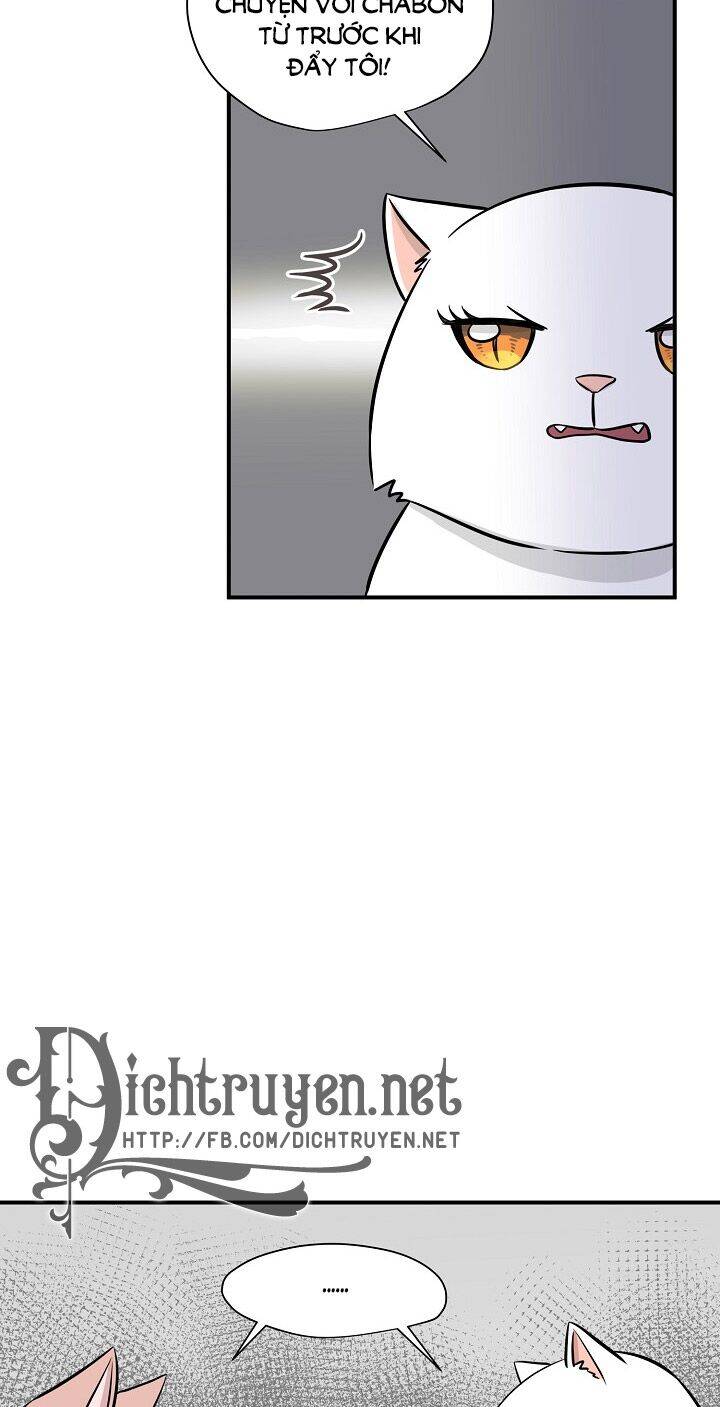 Một Cuộc Sống Kỳ Lạ Chapter 45 - 13