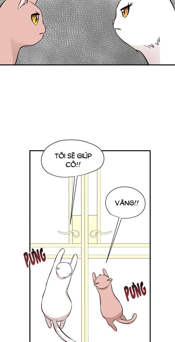 Một Cuộc Sống Kỳ Lạ Chapter 45 - 14
