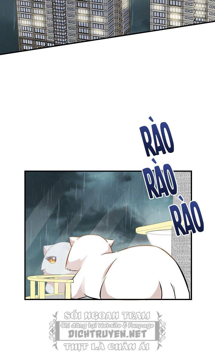 Một Cuộc Sống Kỳ Lạ Chapter 46 - 55