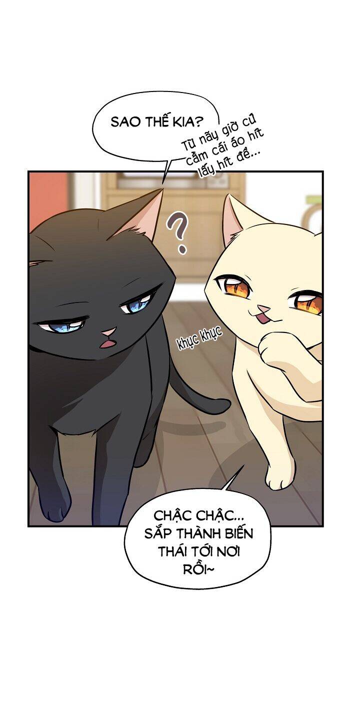 Một Cuộc Sống Kỳ Lạ Chapter 58 - 15