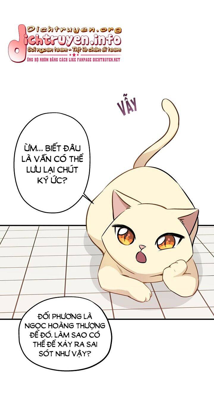 Một Cuộc Sống Kỳ Lạ Chapter 58 - 20