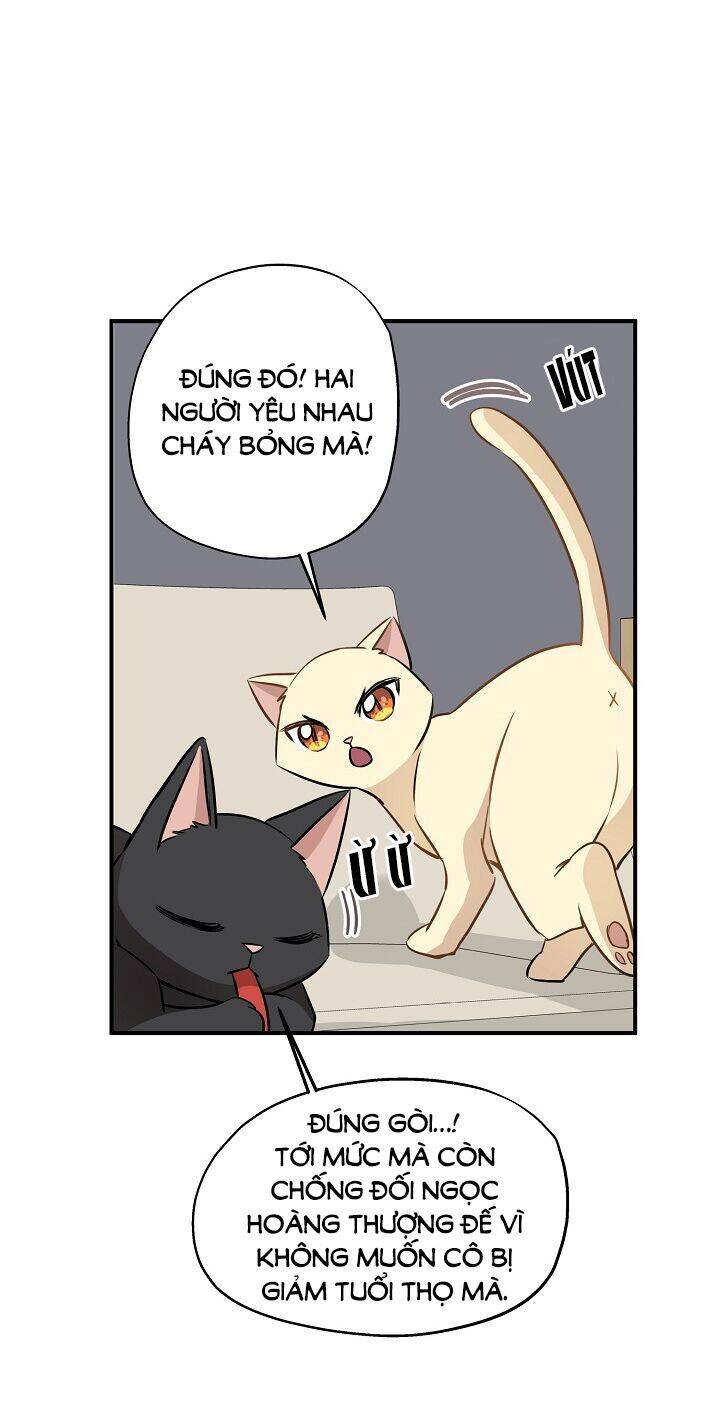 Một Cuộc Sống Kỳ Lạ Chapter 58 - 24