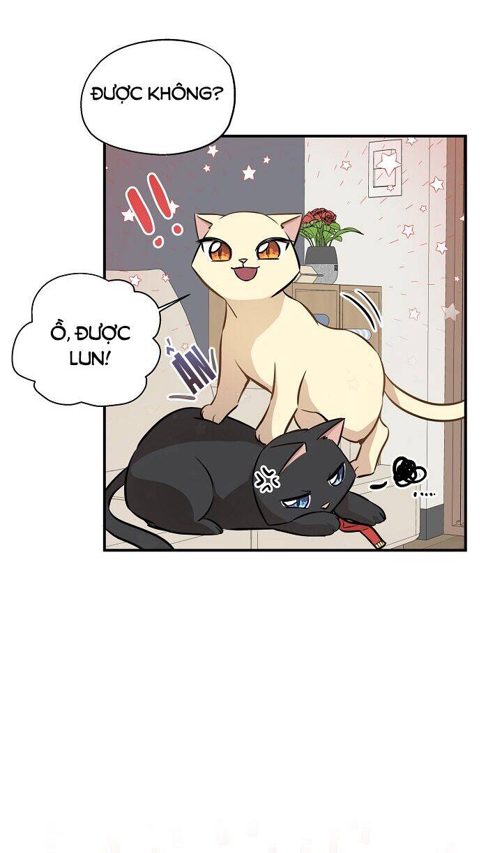 Một Cuộc Sống Kỳ Lạ Chapter 58 - 36