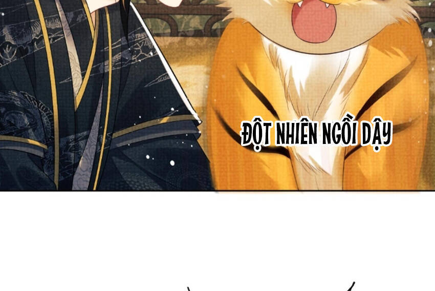 Thê Vi Thượng Chapter 113 - 28