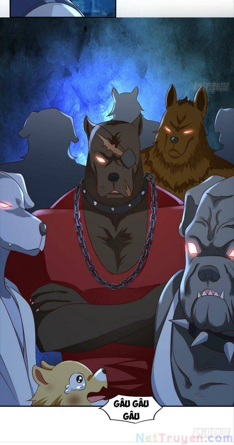 Xâm Lược Vạn Giới Chapter 27 - 14