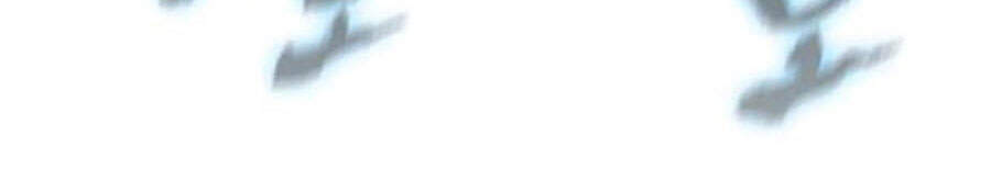 Thân Thủ Đệ Nhất Kiếm Chapter 58 - 44