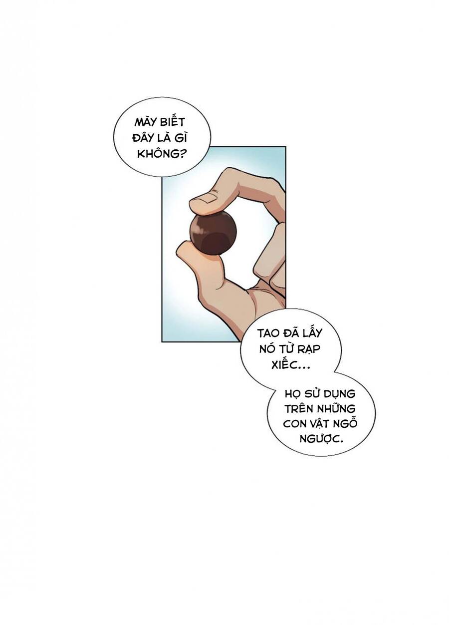 Gia Sư Của Công Tước Chapter 23 - 40