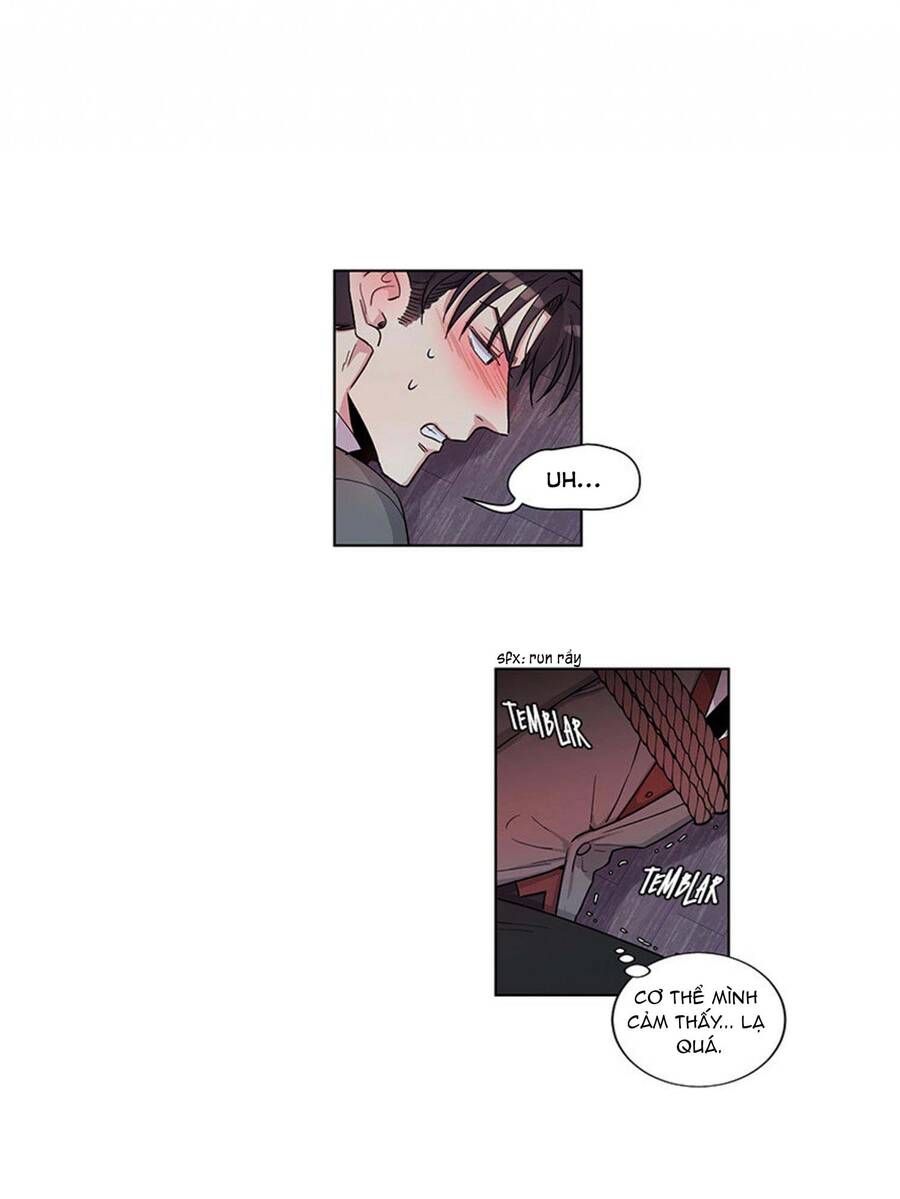 Gia Sư Của Công Tước Chapter 24 - 19