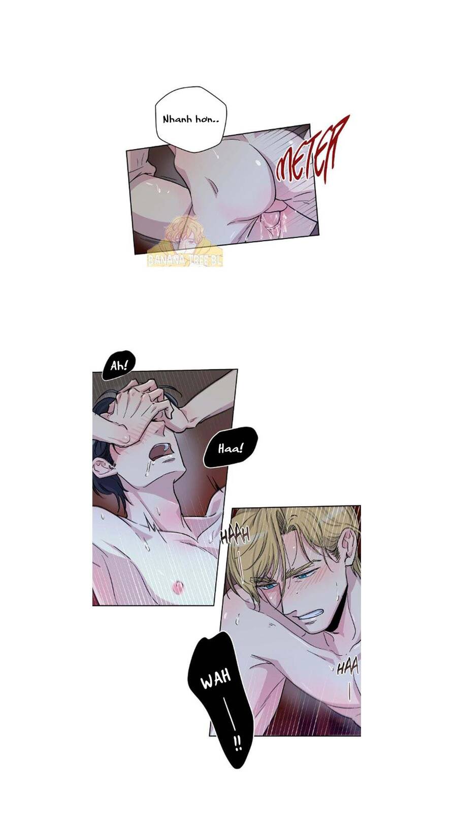 Gia Sư Của Công Tước Chapter 28 - 33