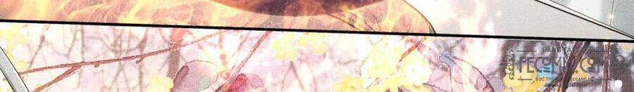 Thượng Thực Chapter 1 - 52