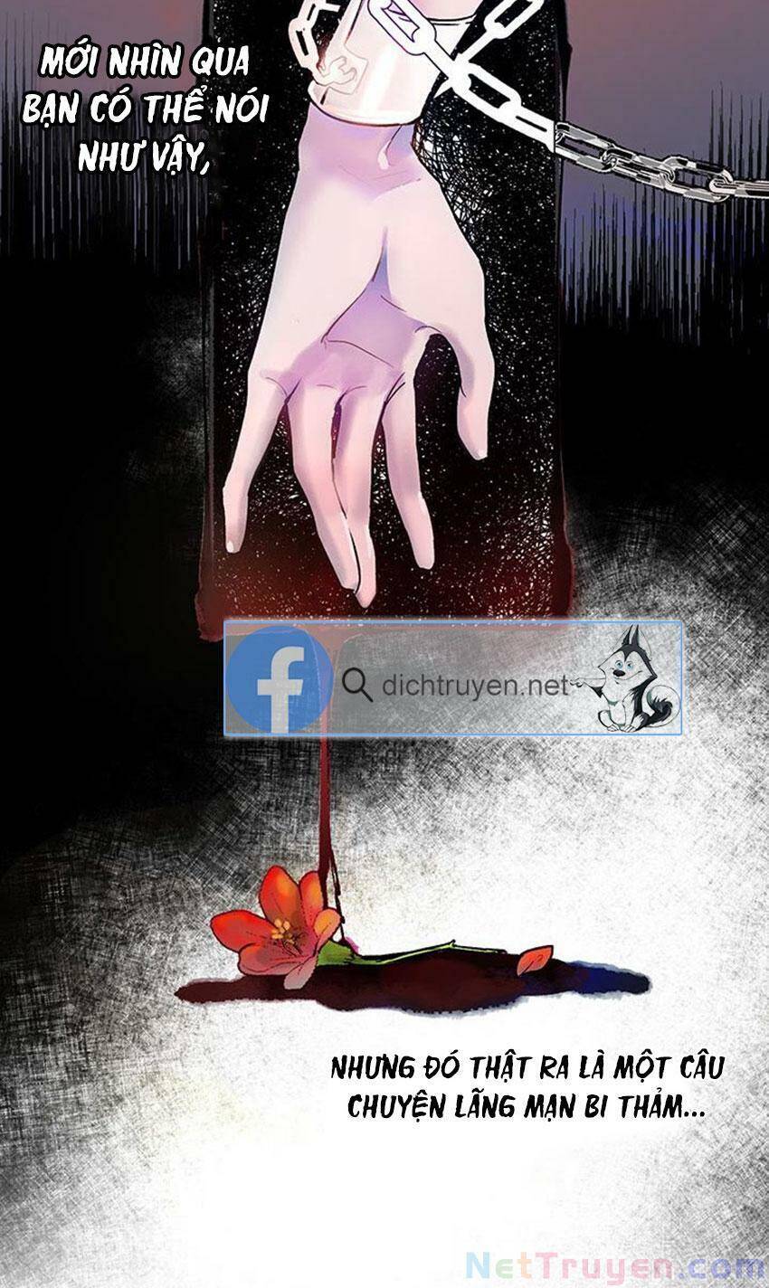 Cách Bảo Vệ Anh Trai Của Nữ Chính Chapter 1 - 11