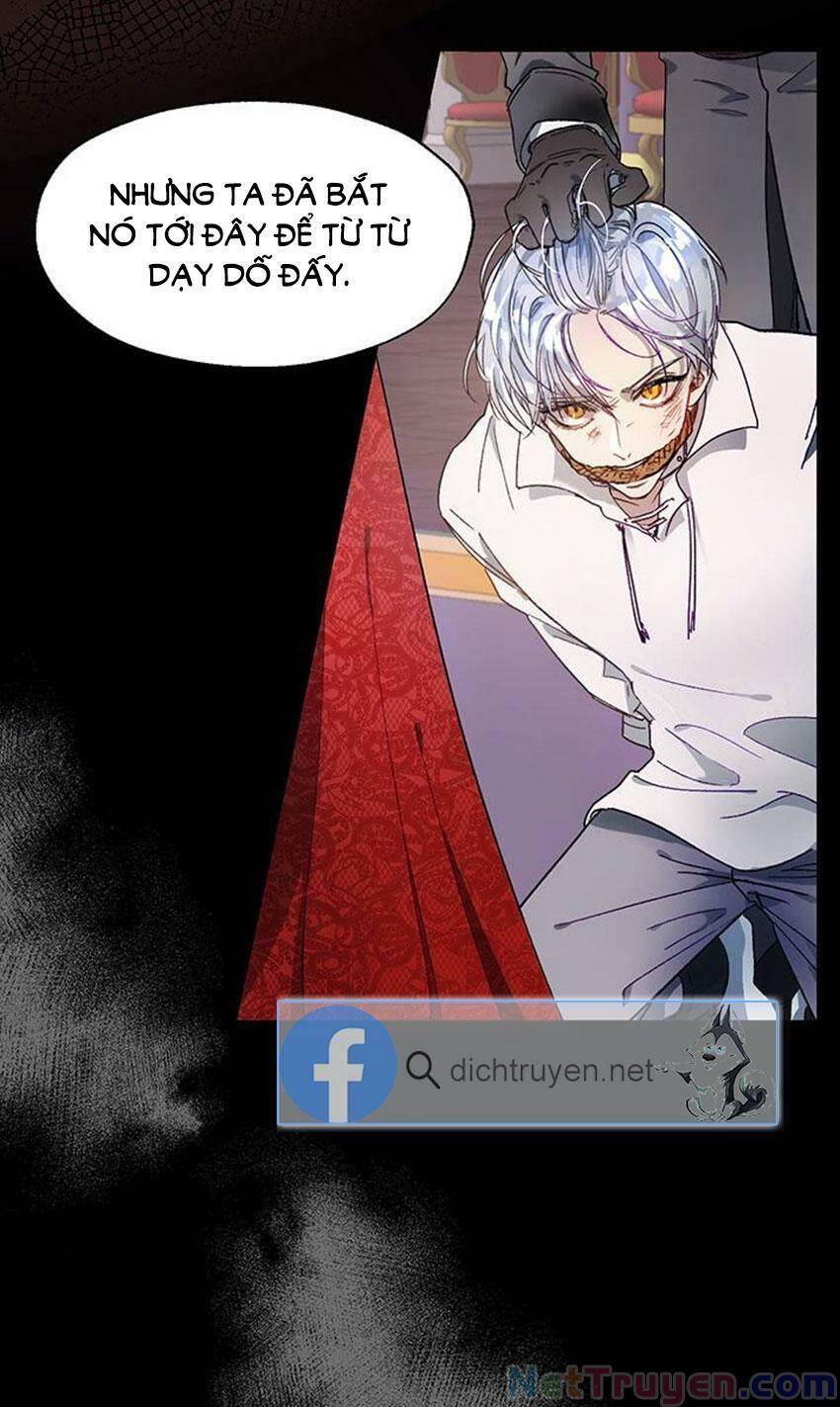 Cách Bảo Vệ Anh Trai Của Nữ Chính Chapter 1 - 4