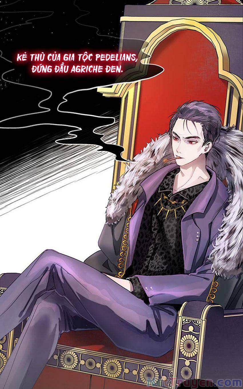 Cách Bảo Vệ Anh Trai Của Nữ Chính Chapter 1 - 31