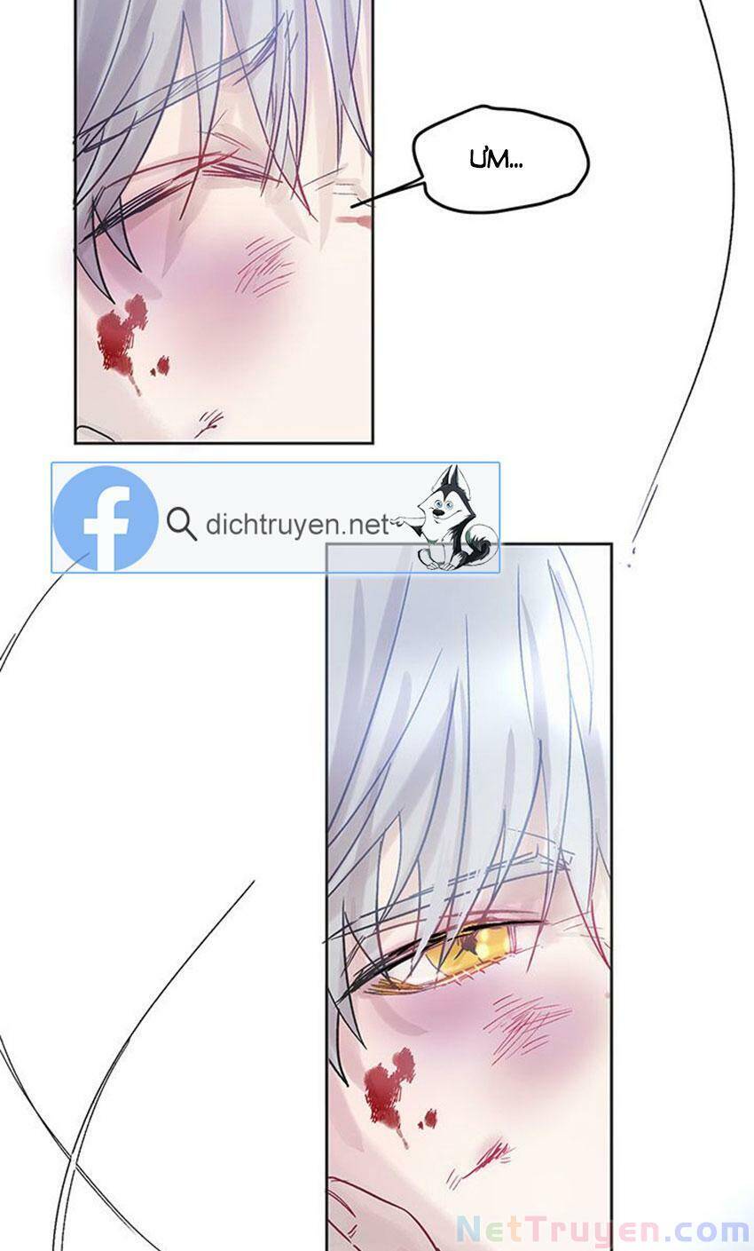 Cách Bảo Vệ Anh Trai Của Nữ Chính Chapter 2 - 48