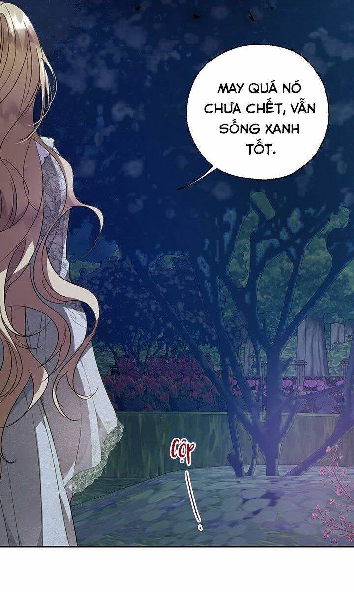 Cách Bảo Vệ Anh Trai Của Nữ Chính Chapter 32 - 53