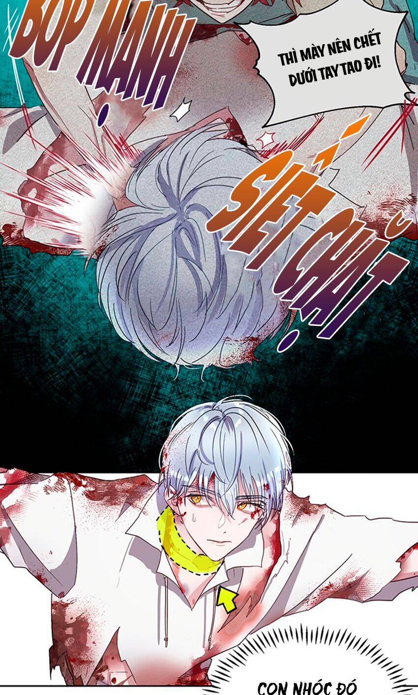 Cách Bảo Vệ Anh Trai Của Nữ Chính Chapter 5 - 67