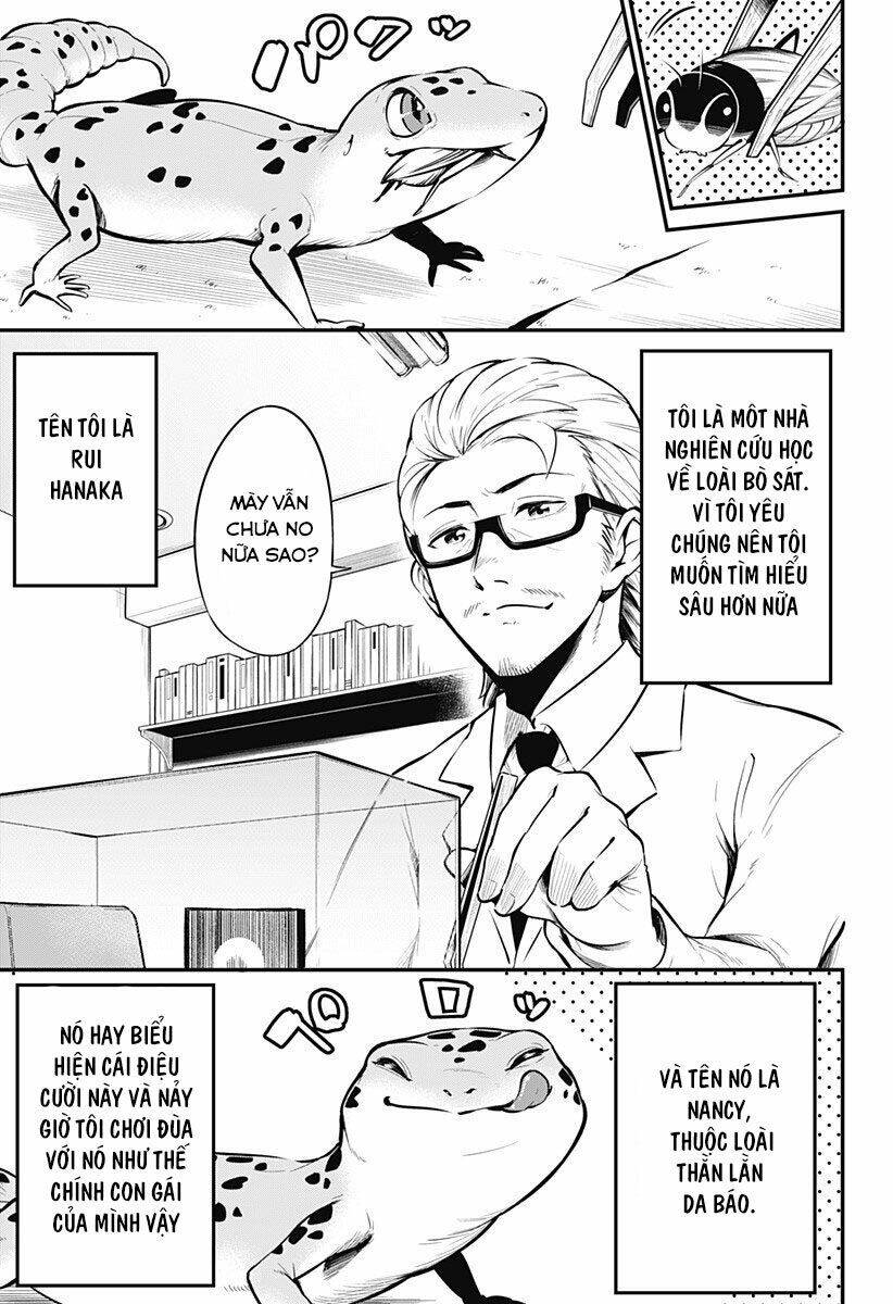 Hachuurui-Chan Wa Natsukanai Chapter 1 - 1