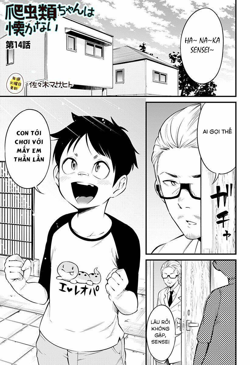 Hachuurui-Chan Wa Natsukanai Chapter 14 - 1
