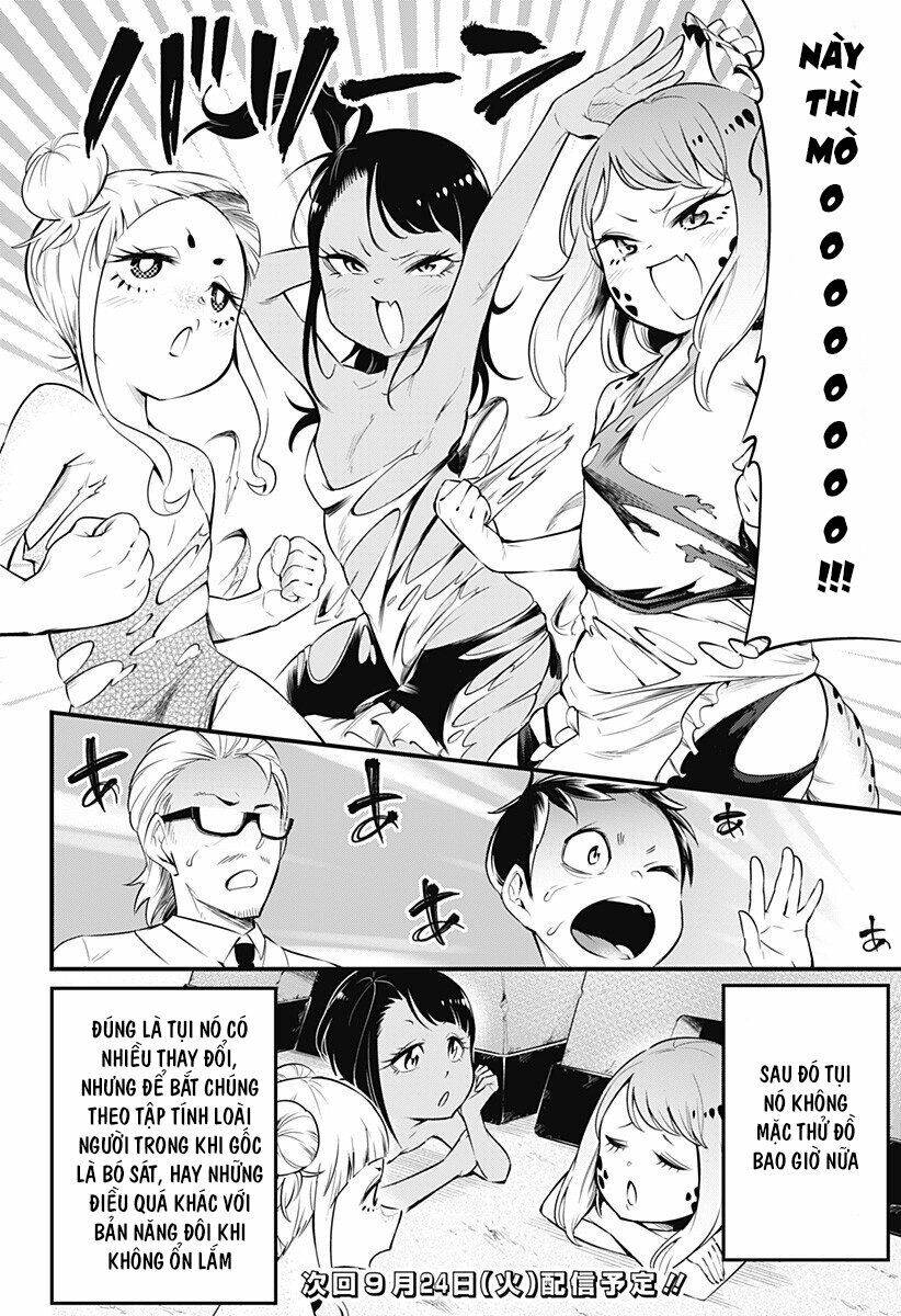 Hachuurui-Chan Wa Natsukanai Chapter 15 - 8
