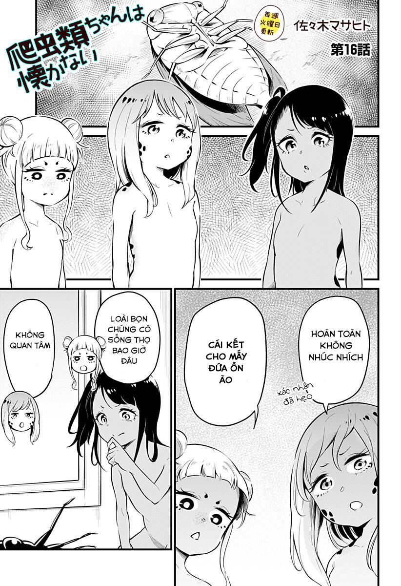 Hachuurui-Chan Wa Natsukanai Chapter 16 - 1