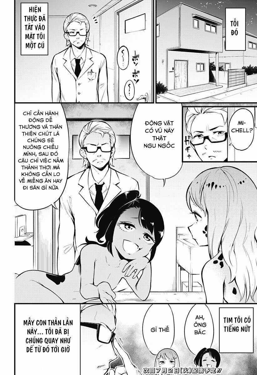 Hachuurui-Chan Wa Natsukanai Chapter 3 - 8