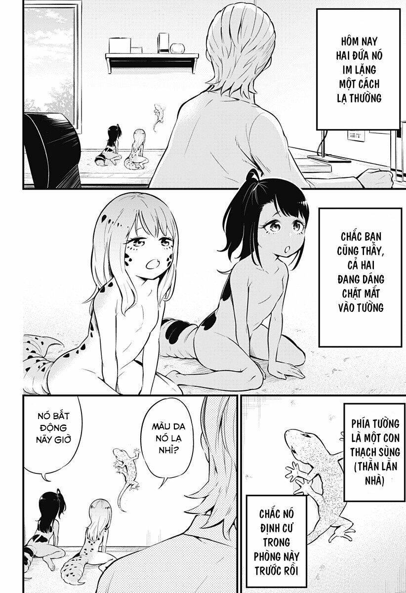 Hachuurui-Chan Wa Natsukanai Chapter 5 - 2