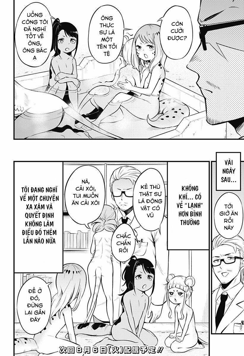 Hachuurui-Chan Wa Natsukanai Chapter 8 - 8