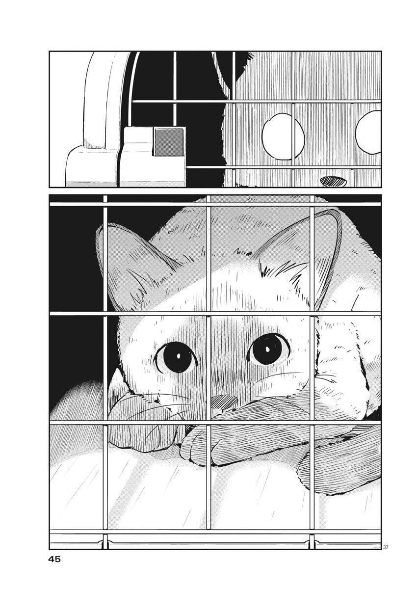 365 Ngày Cho Đến Lúc 2 Ta Kết Hôn Chapter 1 - 38