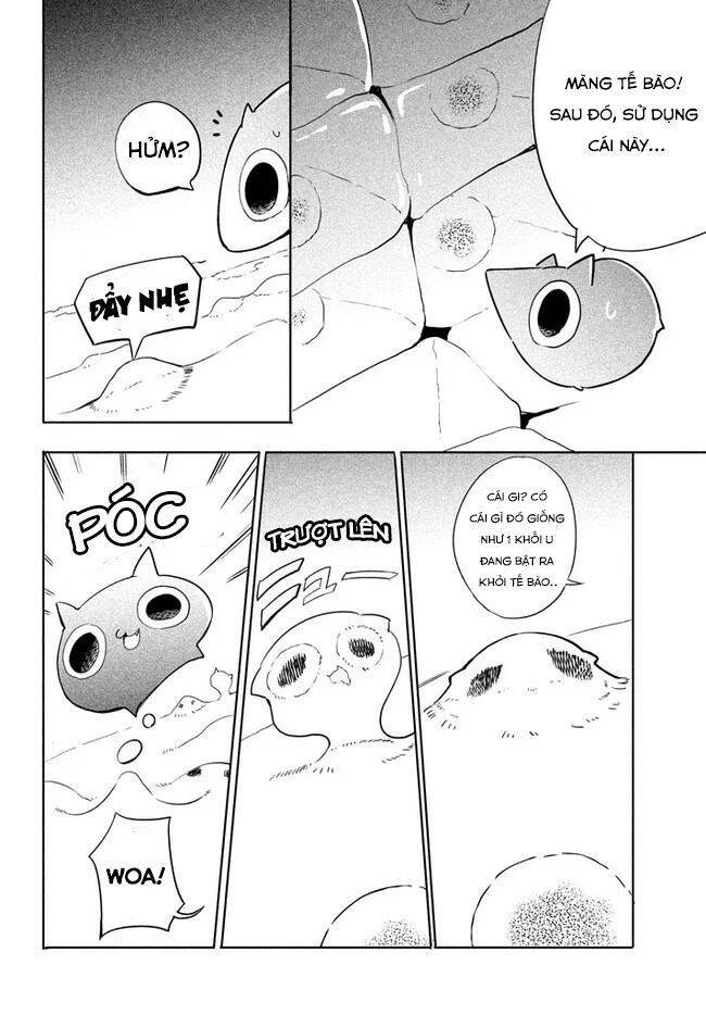 Chuyển Sinh Thành Virus Và Quá Trình Lây Nhiễm Ở Thế Giới Khác Chapter 1 - 22