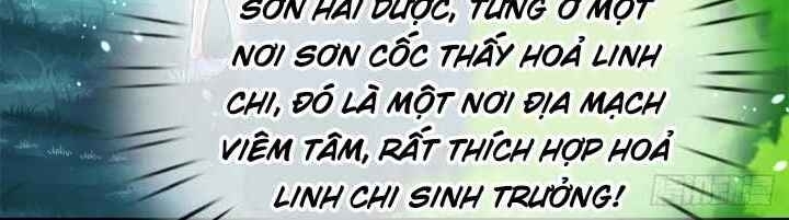 Luyện Thể Trăm Nghìn Tầng Chapter 17 - 12