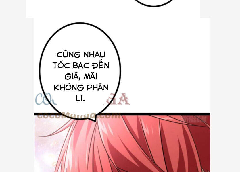 Cái Bóng Vạn Năng Chapter 68 - 22