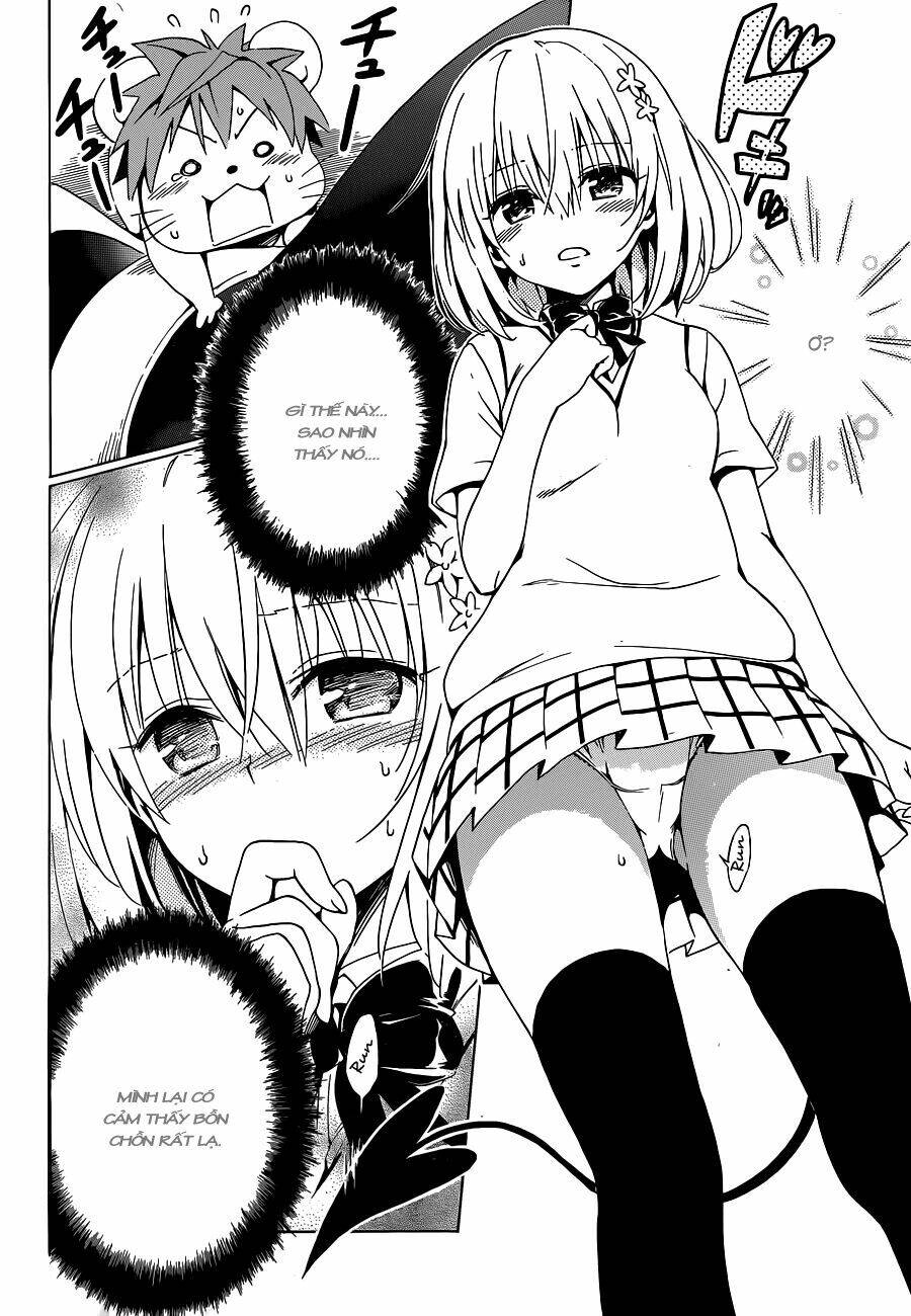 Bọn Tớ Thích Cậu! Rito 2 - Venus Chapter 37 - 11