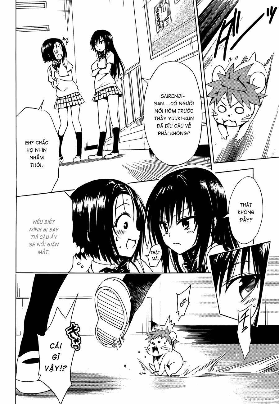 Bọn Tớ Thích Cậu! Rito 2 - Venus Chapter 37 - 17