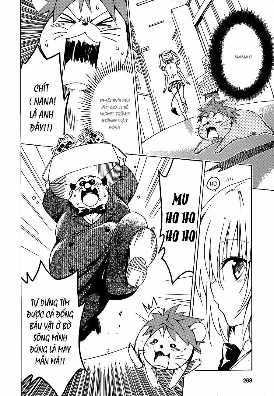 Bọn Tớ Thích Cậu! Rito 2 - Venus Chapter 37 - 21