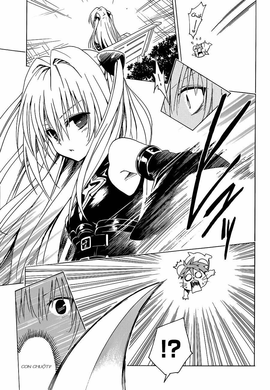 Bọn Tớ Thích Cậu! Rito 2 - Venus Chapter 37 - 24