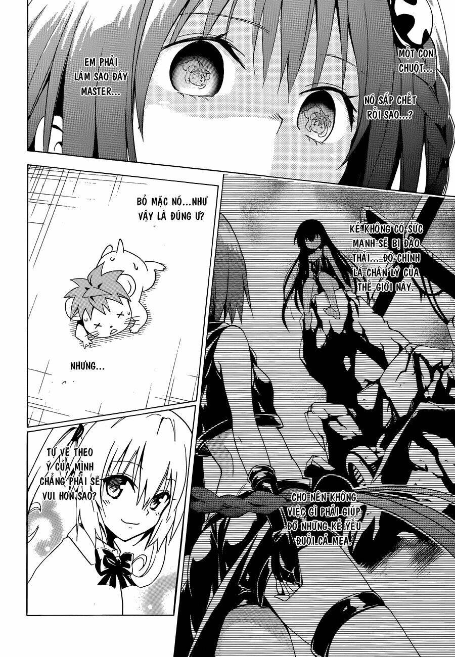 Bọn Tớ Thích Cậu! Rito 2 - Venus Chapter 37 - 31
