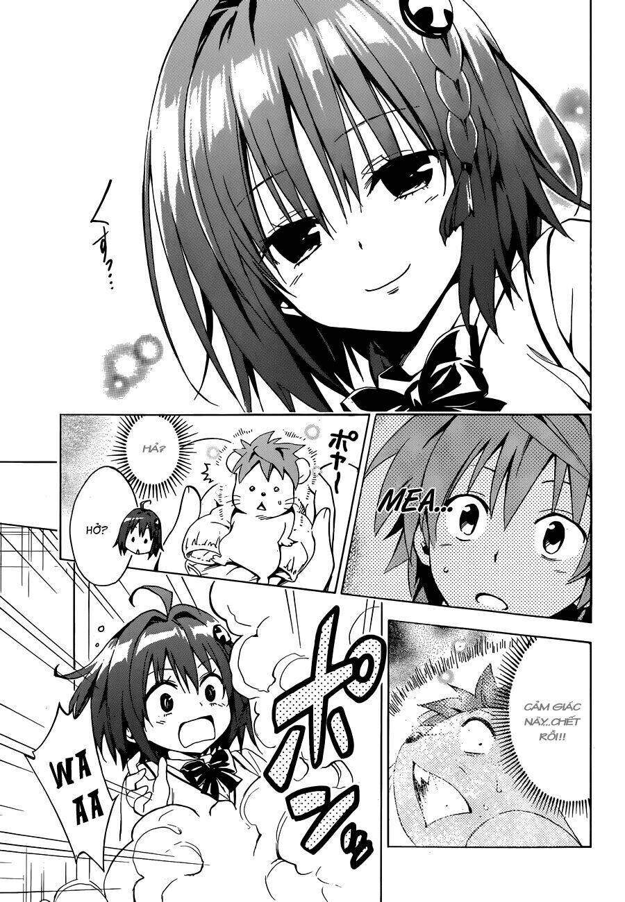 Bọn Tớ Thích Cậu! Rito 2 - Venus Chapter 37 - 34