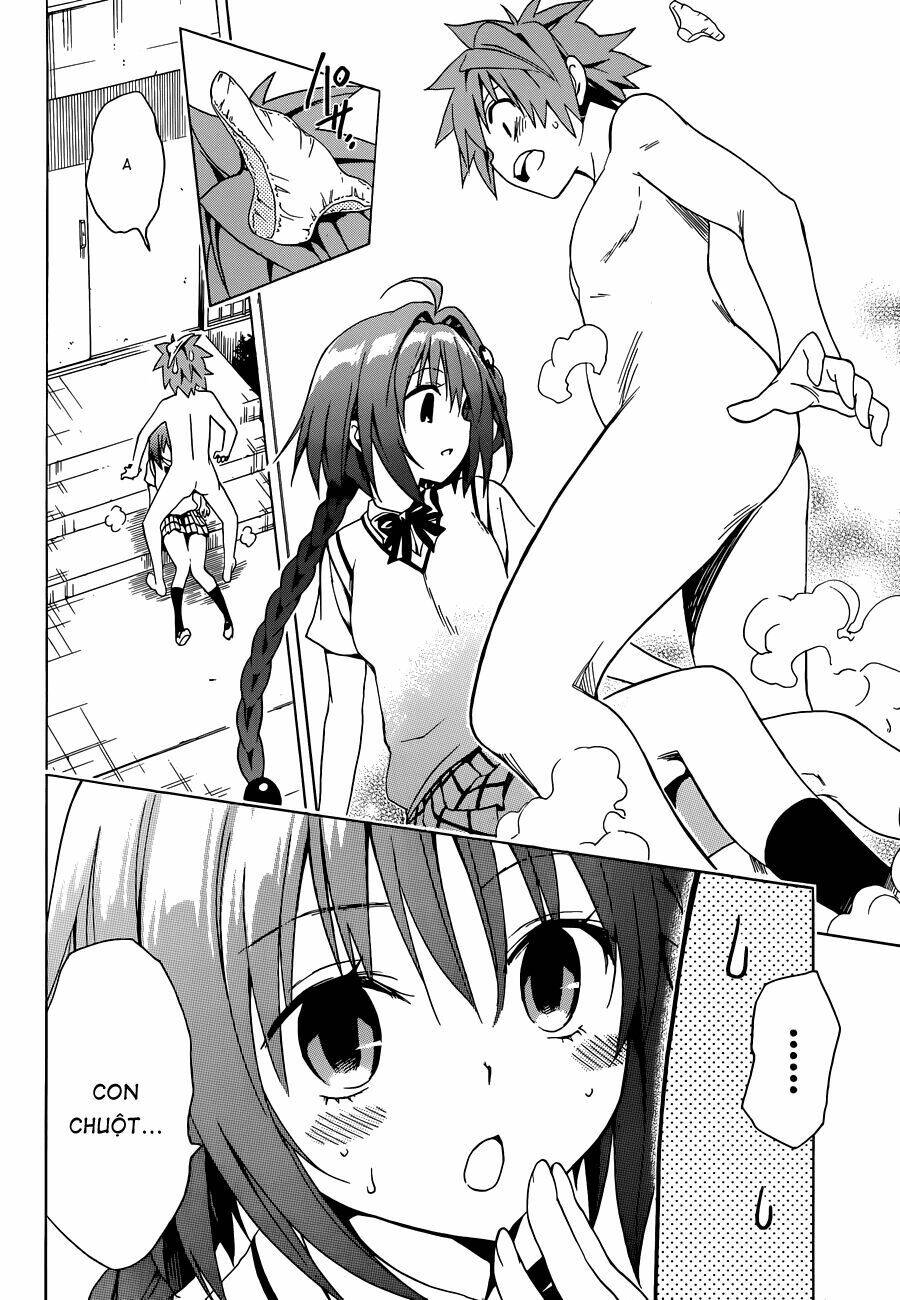 Bọn Tớ Thích Cậu! Rito 2 - Venus Chapter 37 - 35