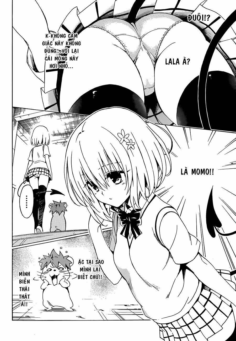 Bọn Tớ Thích Cậu! Rito 2 - Venus Chapter 37 - 9