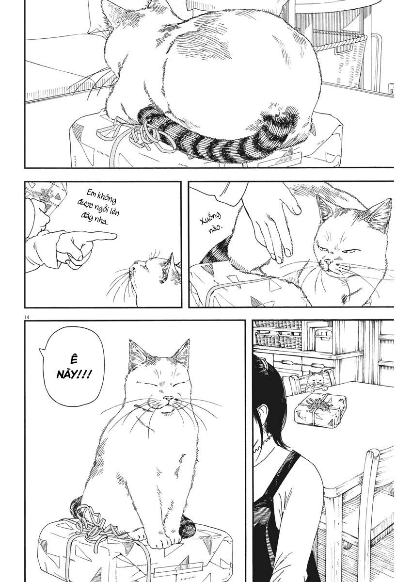 Neko No Otera No Chion-San Chapter 71 - 17