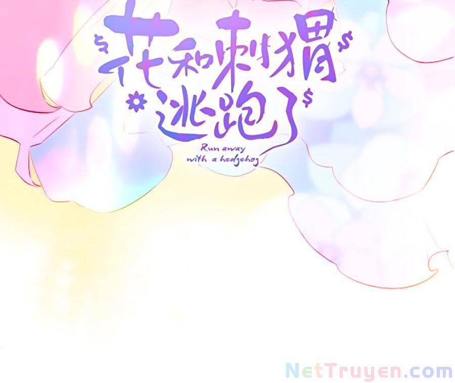 Hoa Bỏ Chạy Với Nhím Rồi Chapter 11 - 2