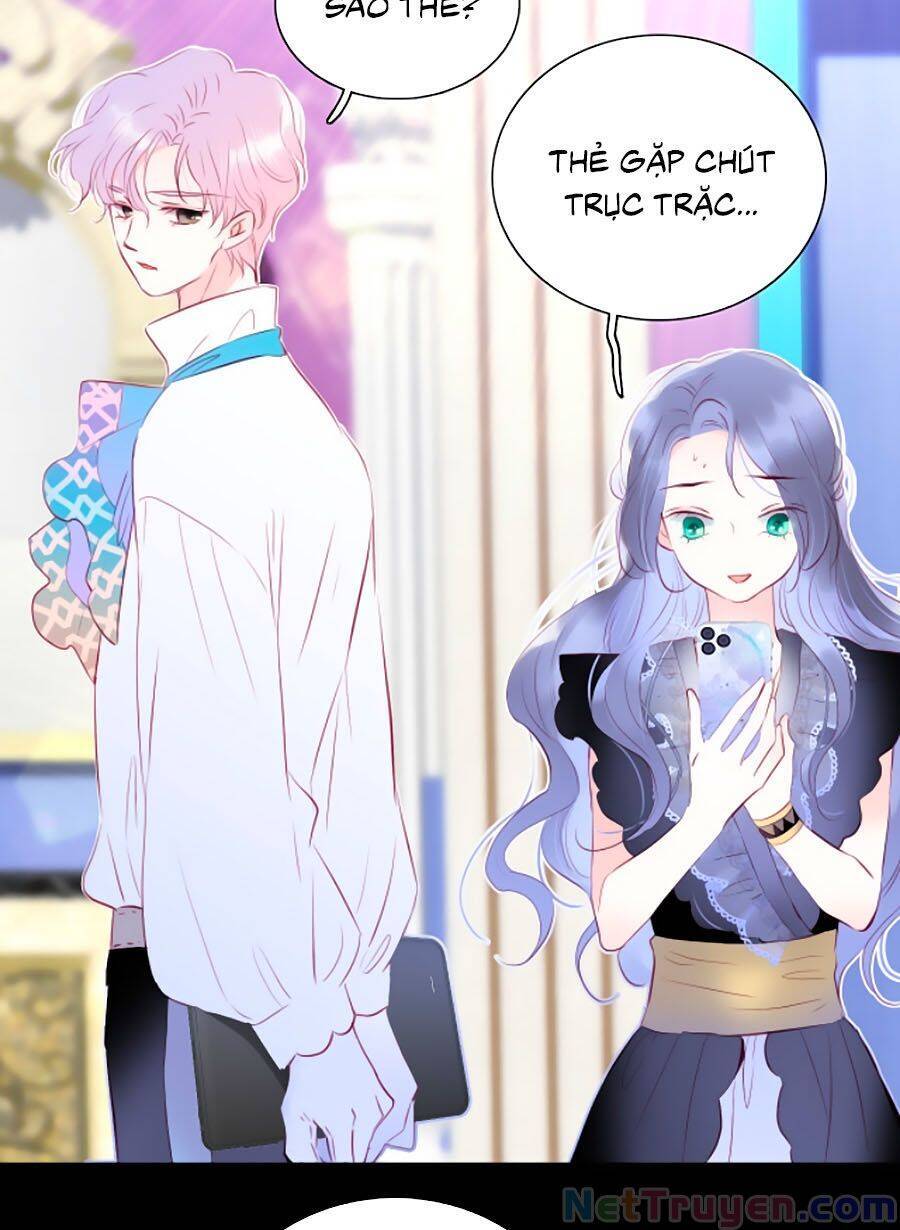 Hoa Bỏ Chạy Với Nhím Rồi Chapter 11 - 9