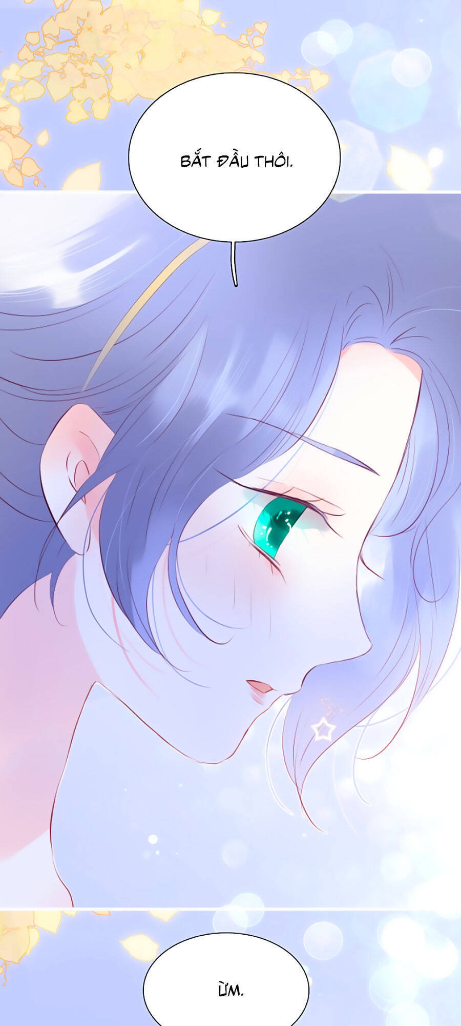 Hoa Bỏ Chạy Với Nhím Rồi Chapter 16 - 28