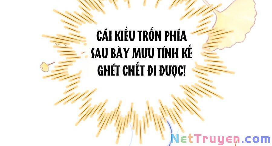 Hoa Bỏ Chạy Với Nhím Rồi Chapter 24 - 21