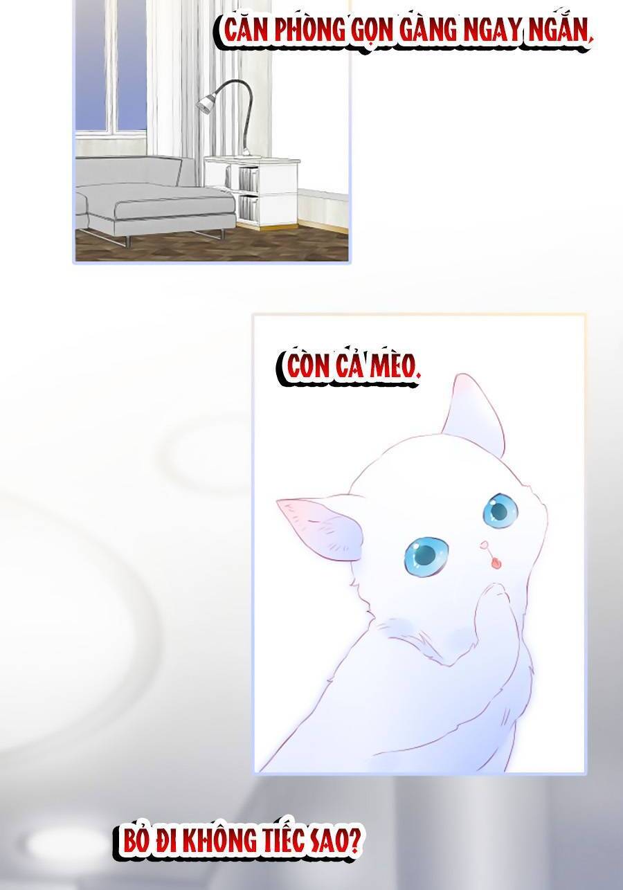 Hoa Bỏ Chạy Với Nhím Rồi Chapter 58 - 7