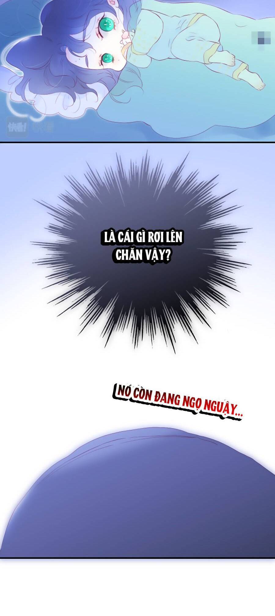 Hoa Bỏ Chạy Với Nhím Rồi Chapter 67 - 33