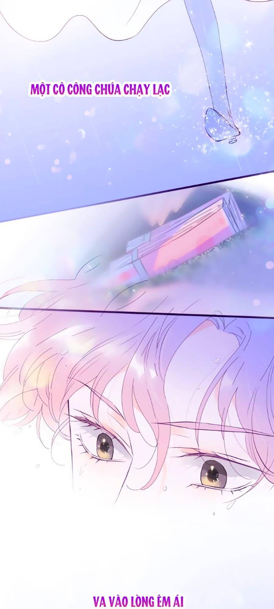 Hoa Bỏ Chạy Với Nhím Rồi Chapter 1.1 - 4